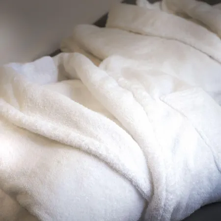 ホテル ガーデン パリ